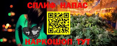 дмт Заводоуковск