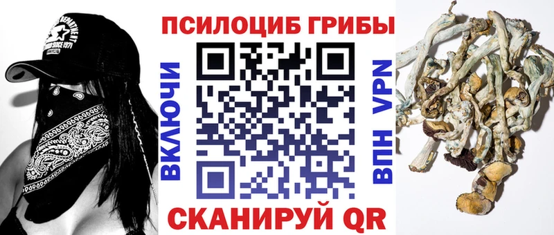 kraken зеркало  площадка формула  Галлюциногенные грибы Psilocybe  Саранск 