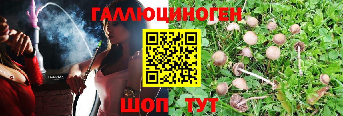Саранск  Псилоцибиновые грибы мухоморы  Вход с VPN 
